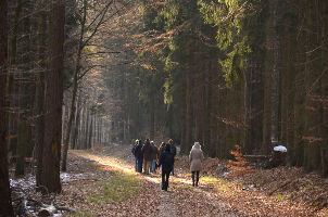 Weinhaus Römer - Bad Karlshafen - Winterwanderung